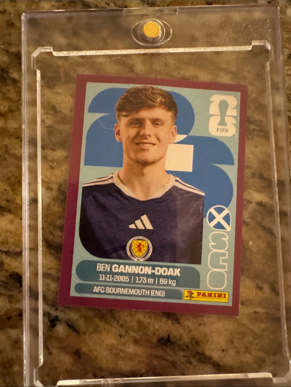 FIFA Panini World Cup Stickers: purple outline